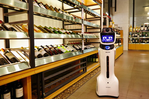 教育服務機器人 為人類提供更優質教育的現實挑戰與機遇